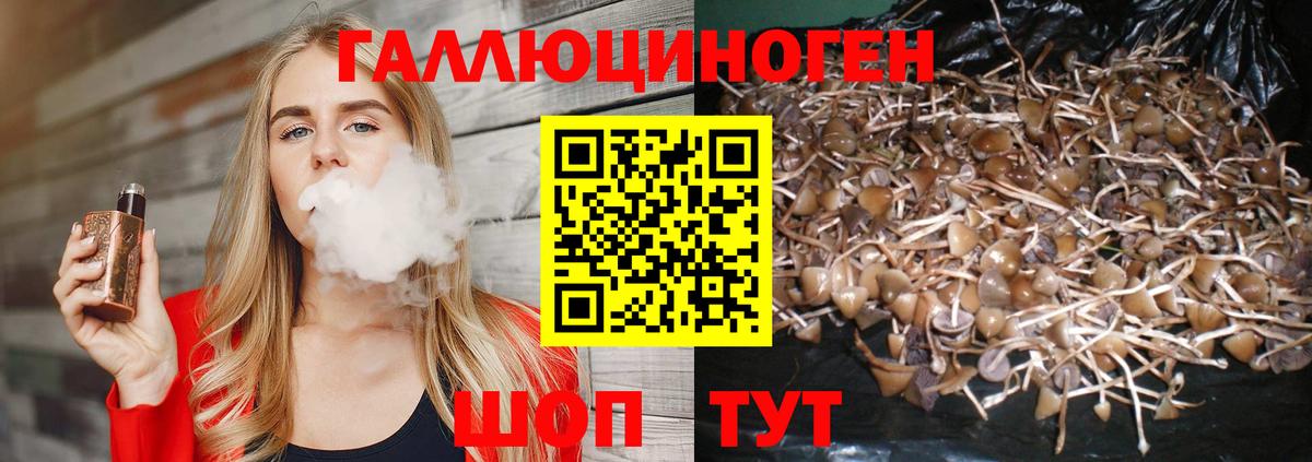 Галлюциногенные грибы Psilocybine cubensis Отрадный