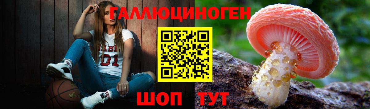закладки  Галлюциногенные грибы Magic Shrooms  Вход с VPN  Отрадный  Псилоцибиновые грибы Psilocybine cubensis 